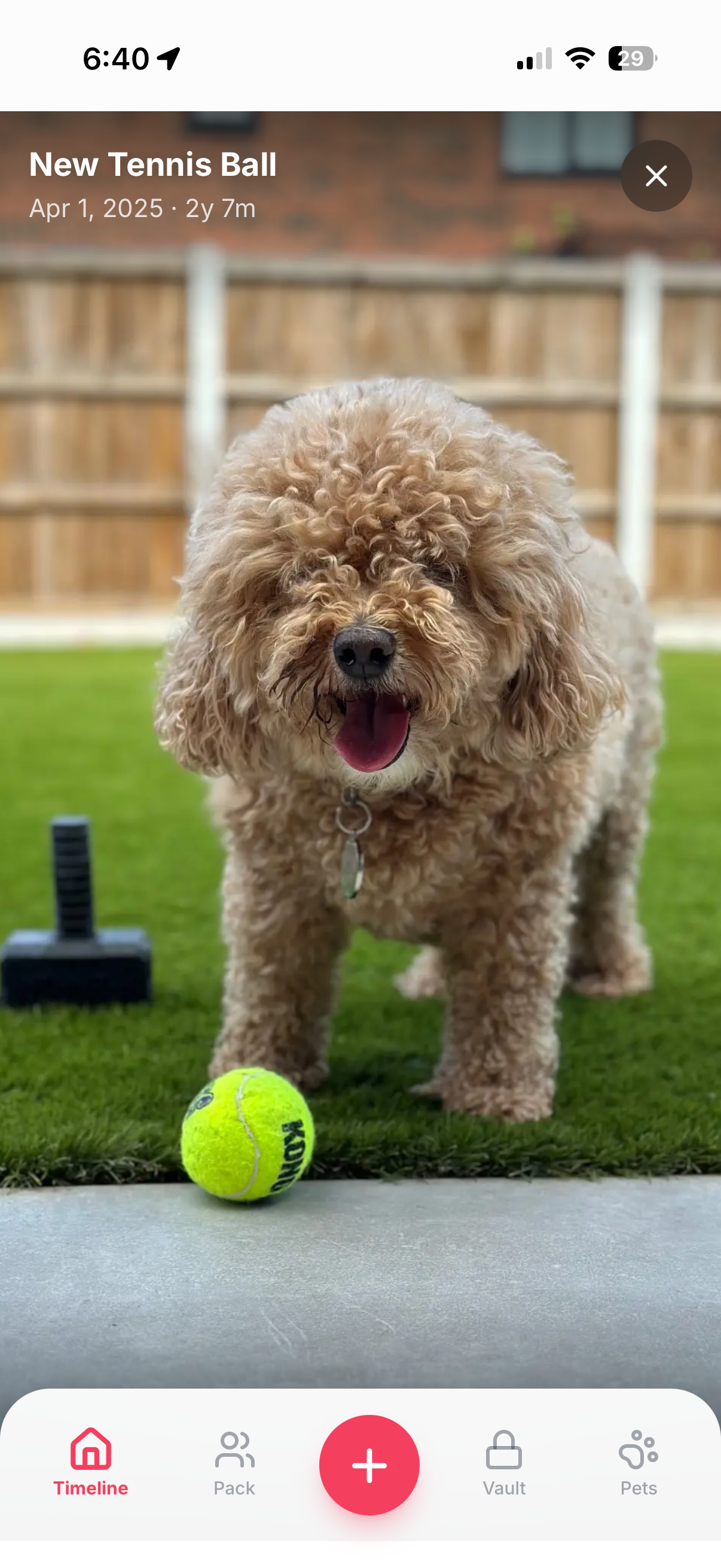 PetJourni timeline view